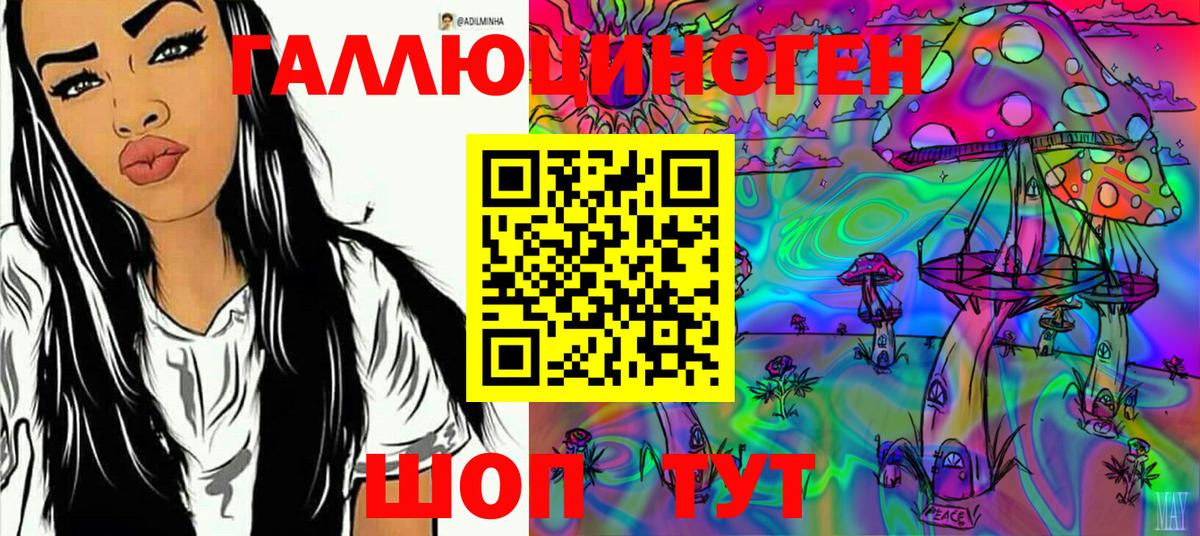 Галлюциногенные грибы Psilocybine cubensis Электросталь