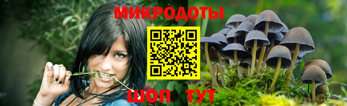 Электросталь  Псилоцибиновые грибы MAGIC MUSHROOMS  Вход с VPN 